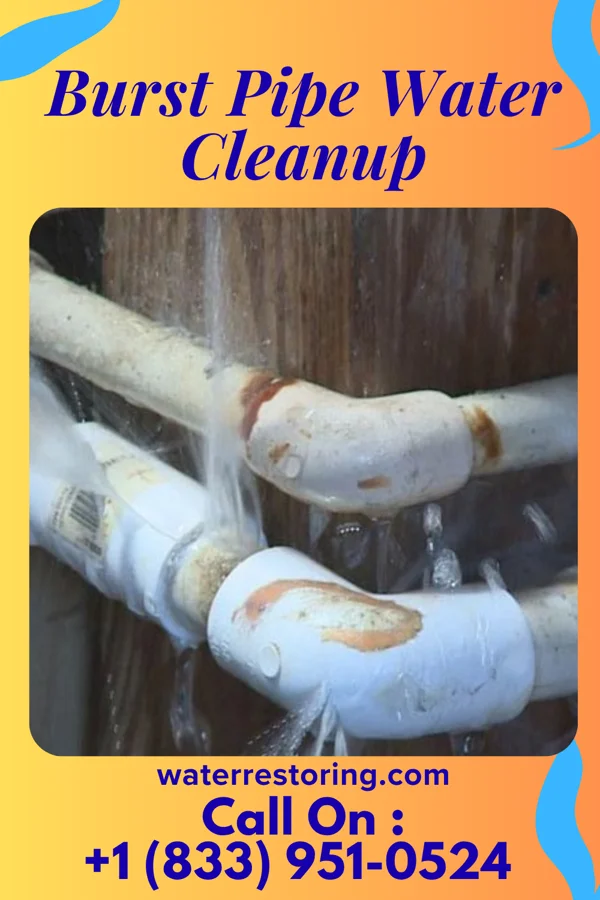 Burst Pipe Water Cleanup in Preston, MD