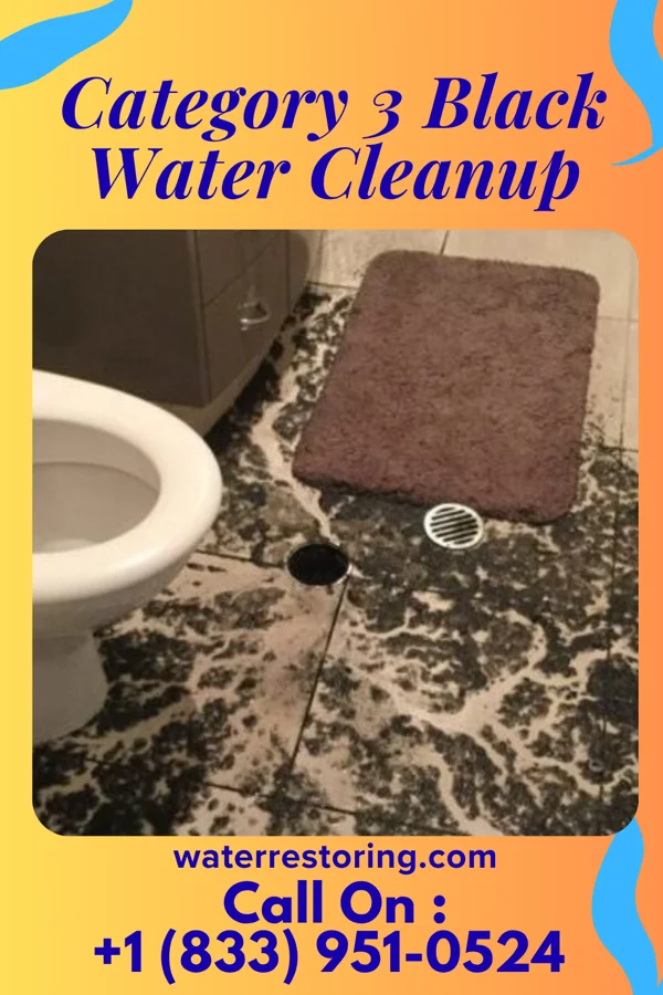 Category 3 Black Water Cleanup in Preston, MD