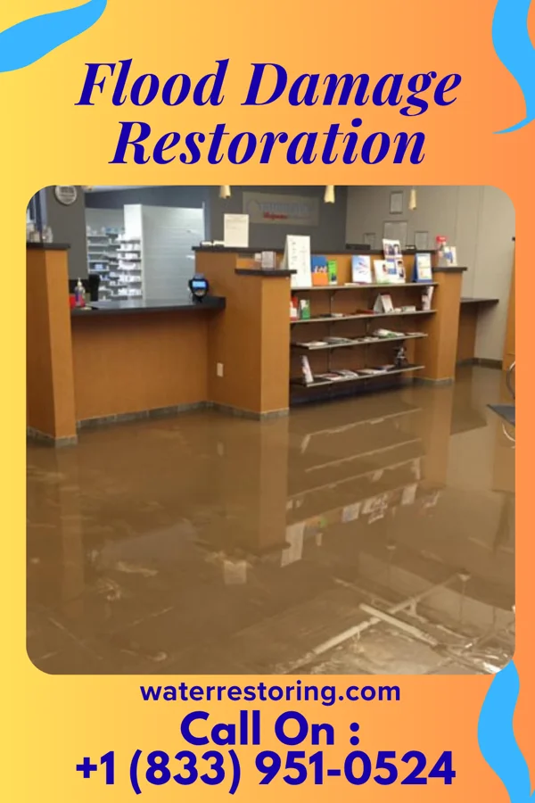 Flood Damage Restoration in Preston, MD