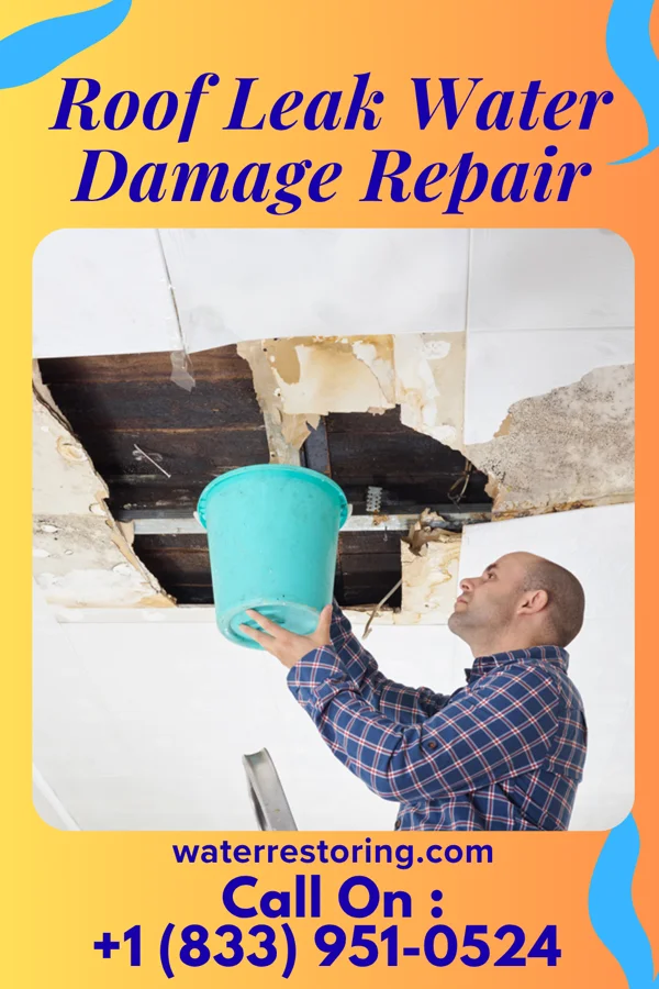 Roof Leak Water Damage Repair in Preston, MD