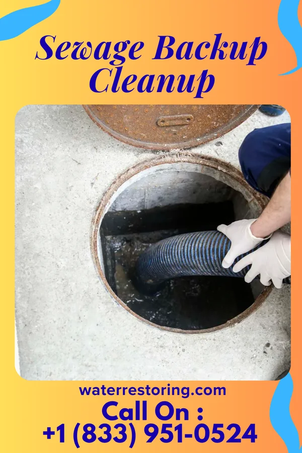 Sewage Backup Cleanup in Preston, MD